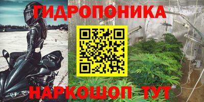кокаин колумбия Камышлов