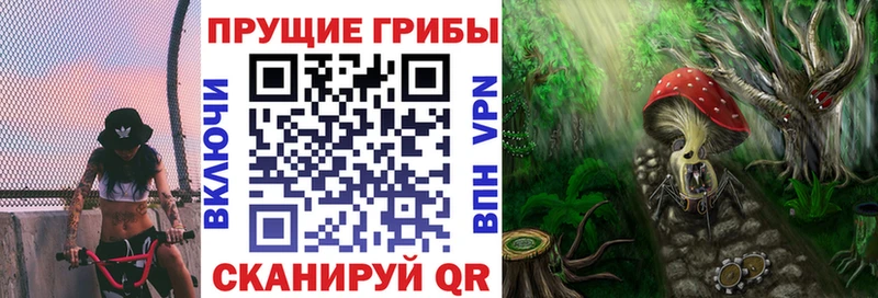 Галлюциногенные грибы GOLDEN TEACHER  как найти   Красный Сулин 