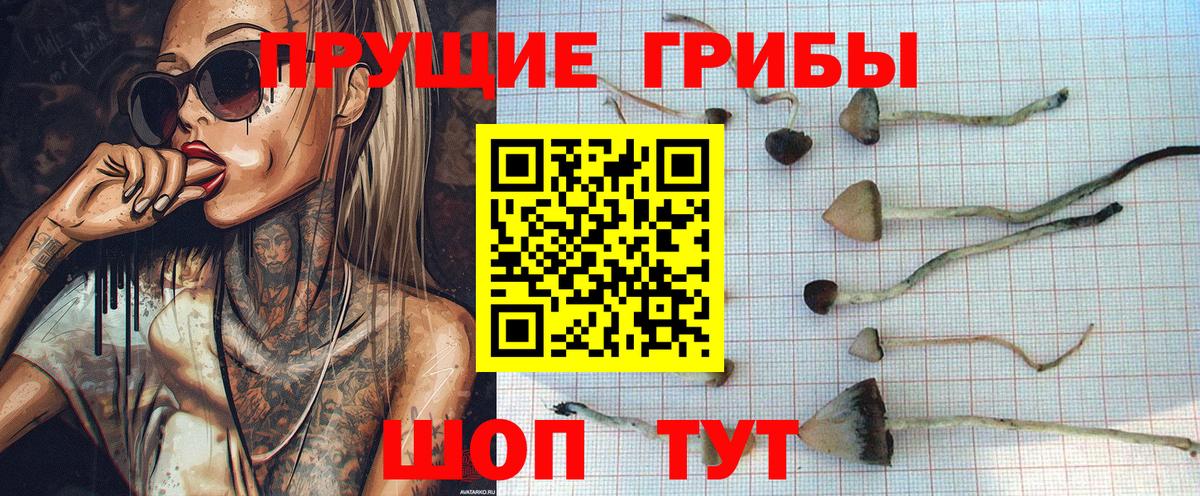 Красный Сулин  Псилоцибиновые грибы Magic Shrooms  Вход с VPN  Галлюциногенные грибы ЛСД 